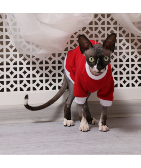 Тепла кофта для кота (кішки) трикотаж на хутрі з рукавом Style Pets