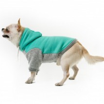 Худі для собак Style Pets DJON бірюзовий