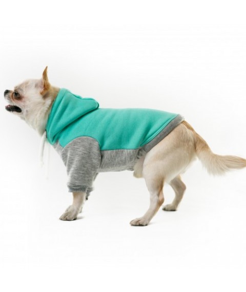 Худі для собак Style Pets DJON бірюзовий