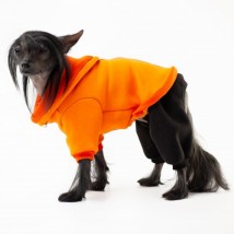 Костюм двійка для собак Style Pets Squash помаранчевий