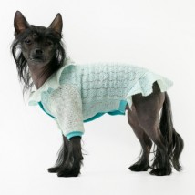 Сукня з рукавом для собаки Style Pets AGUR