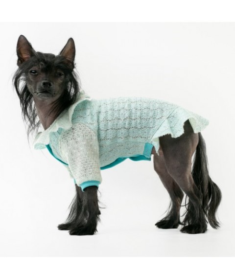 Сукня з рукавом для собаки Style Pets AGUR