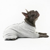 Боді для собак Style Pets Steya