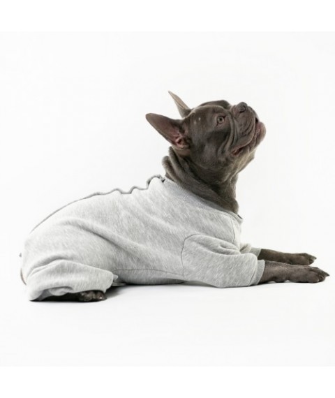 Боді для собак Style Pets Steya