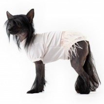 Сукня для собак Style Pets Elza