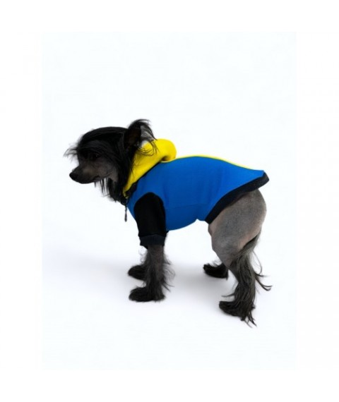 Тепла худі для собак Style Pets BLAZING Y