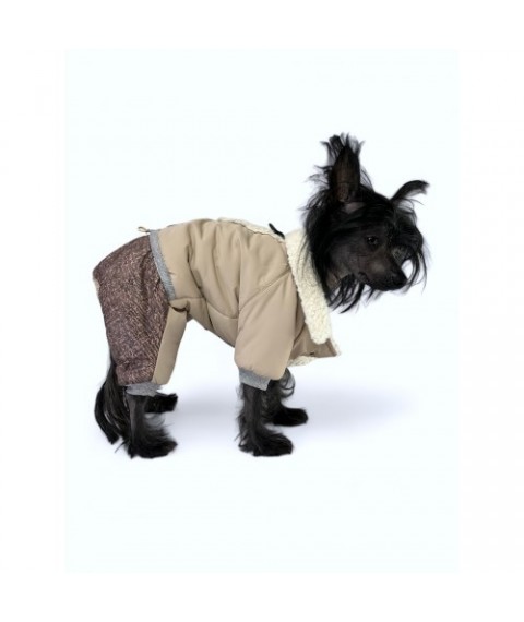 Зимовий комбінезон для собак Style Pets DELICATE