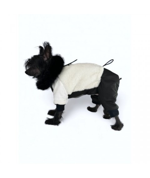 Зимовий комбінезон для собак Style Pets FROZE White