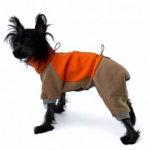 Боді (комбінезон) для собак Style Pets MOLEKULE