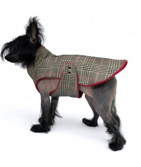 Попона для собак Style Pets BRITISH