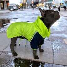Куртка-дощовик для собак Style Pets G TOWN
