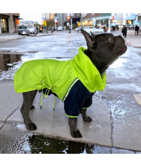 Куртка-дощовик для собак Style Pets G TOWN