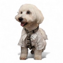 Сорочка з рукавом для собаки Style Pets Woofi