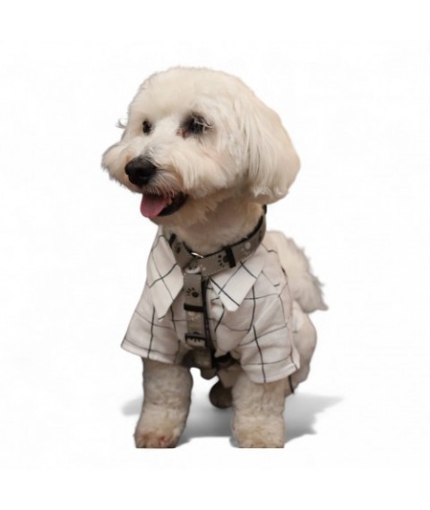 Сорочка з рукавом для собаки Style Pets Woofi