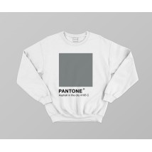 Sweatshirt & laquo; PANTONE 4195 C Asphalt in the city & raquo;