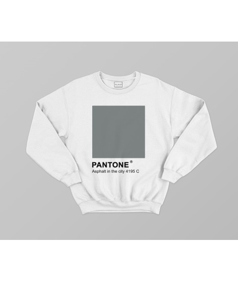 Sweatshirt & laquo; PANTONE 4195 C Asphalt in the city & raquo;